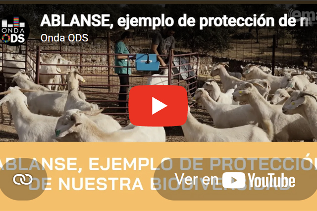 Protección de la Biodiversidad